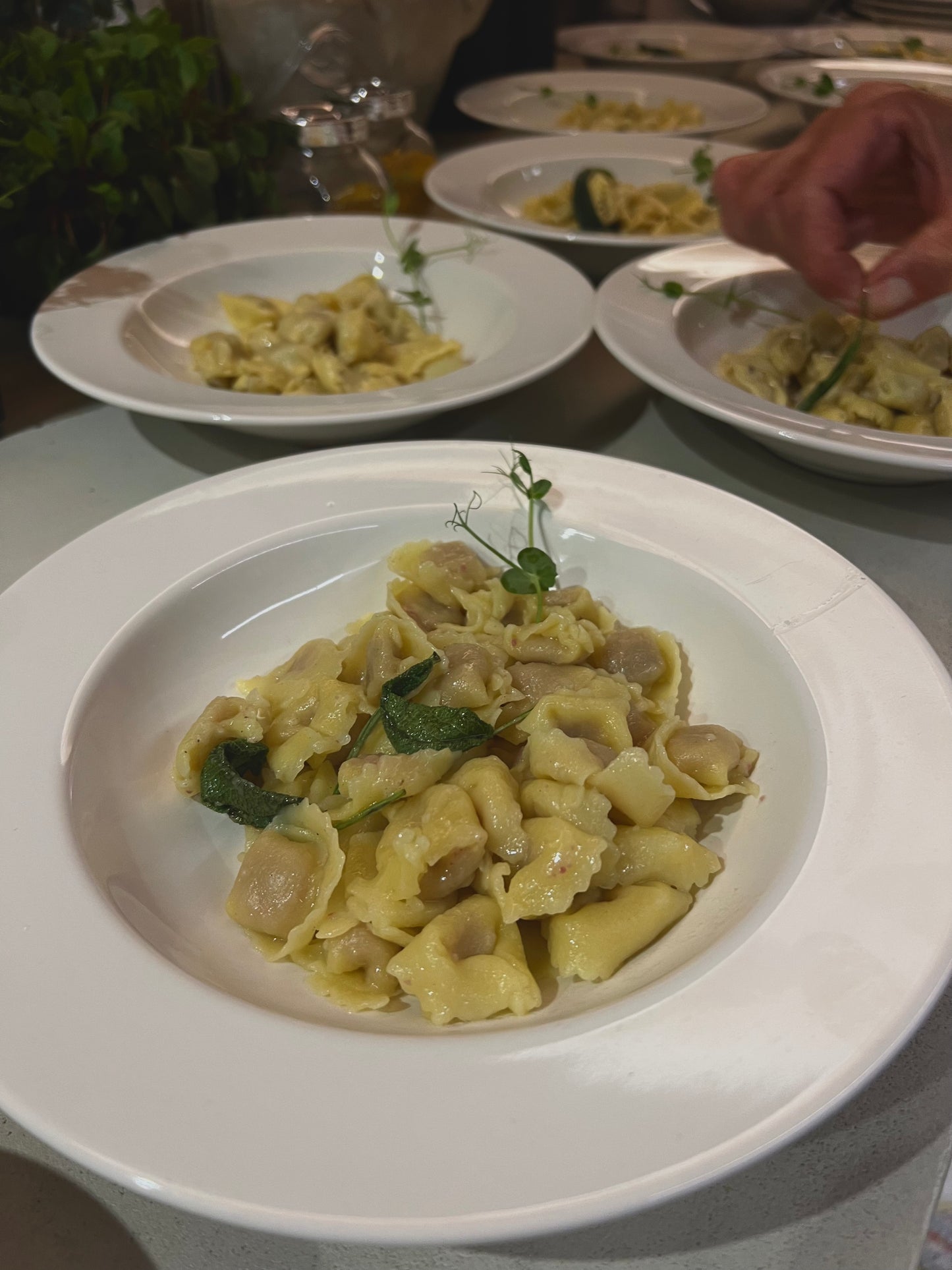 Traditional Langhe Private Dinner Experience